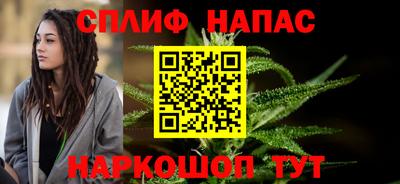 спайс Кингисепп