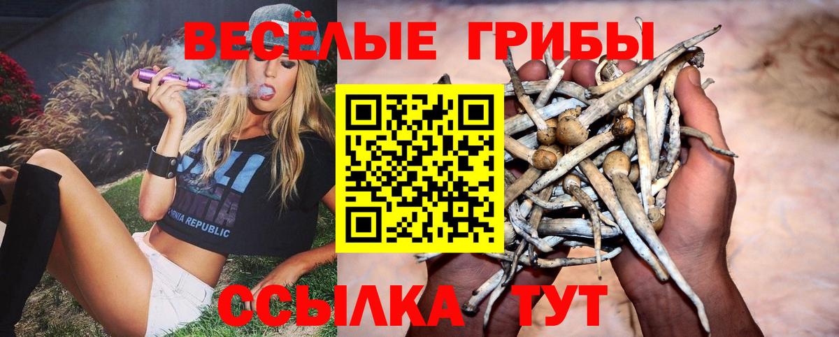 Псилоцибиновые грибы прущие грибы  Галлюциногенные грибы мицелий  Вход с VPN  Кольчугино 